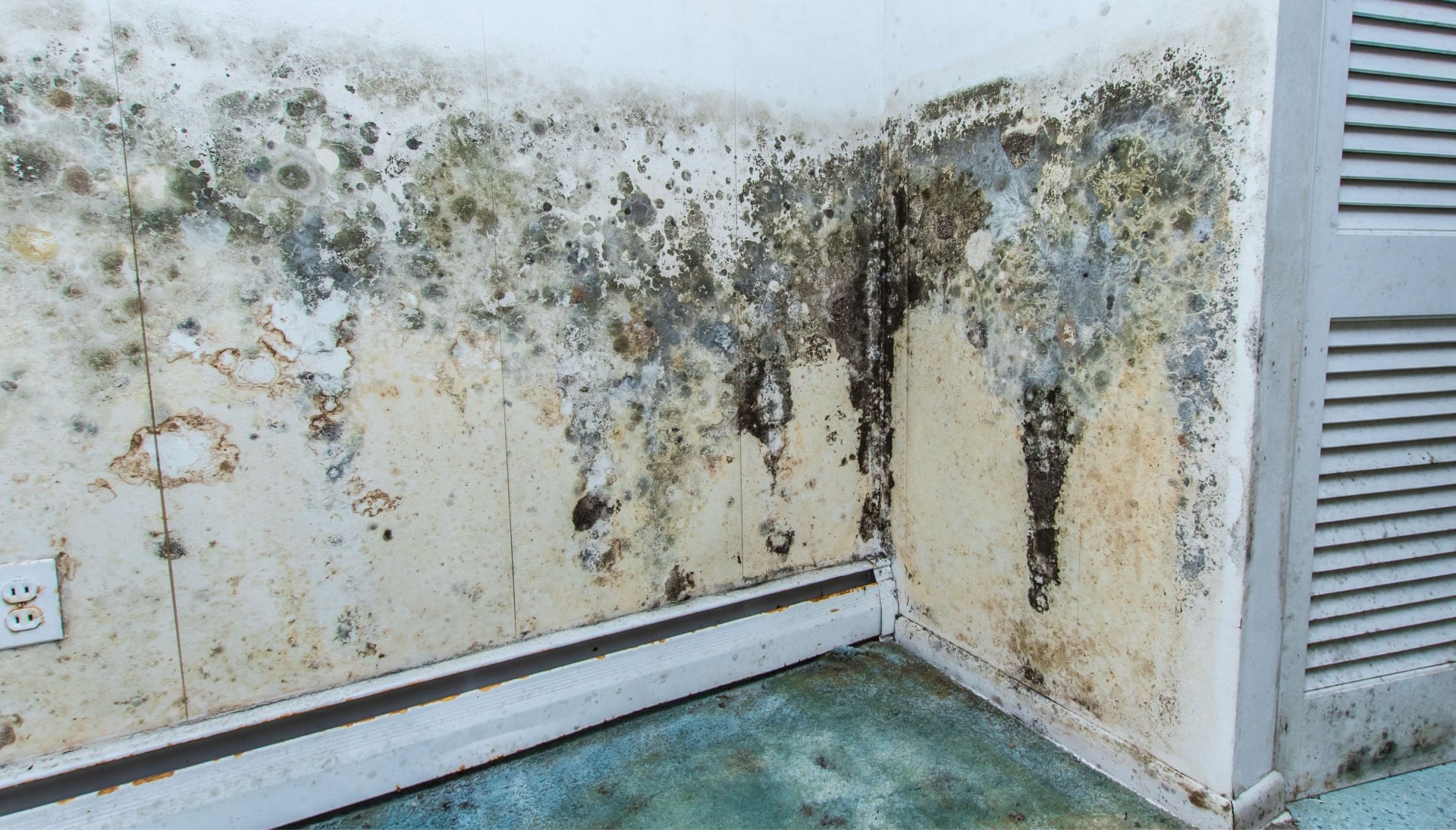 Professional mold removal, odor control, and water damage restoration service in Cedar Rapids, Iowa.