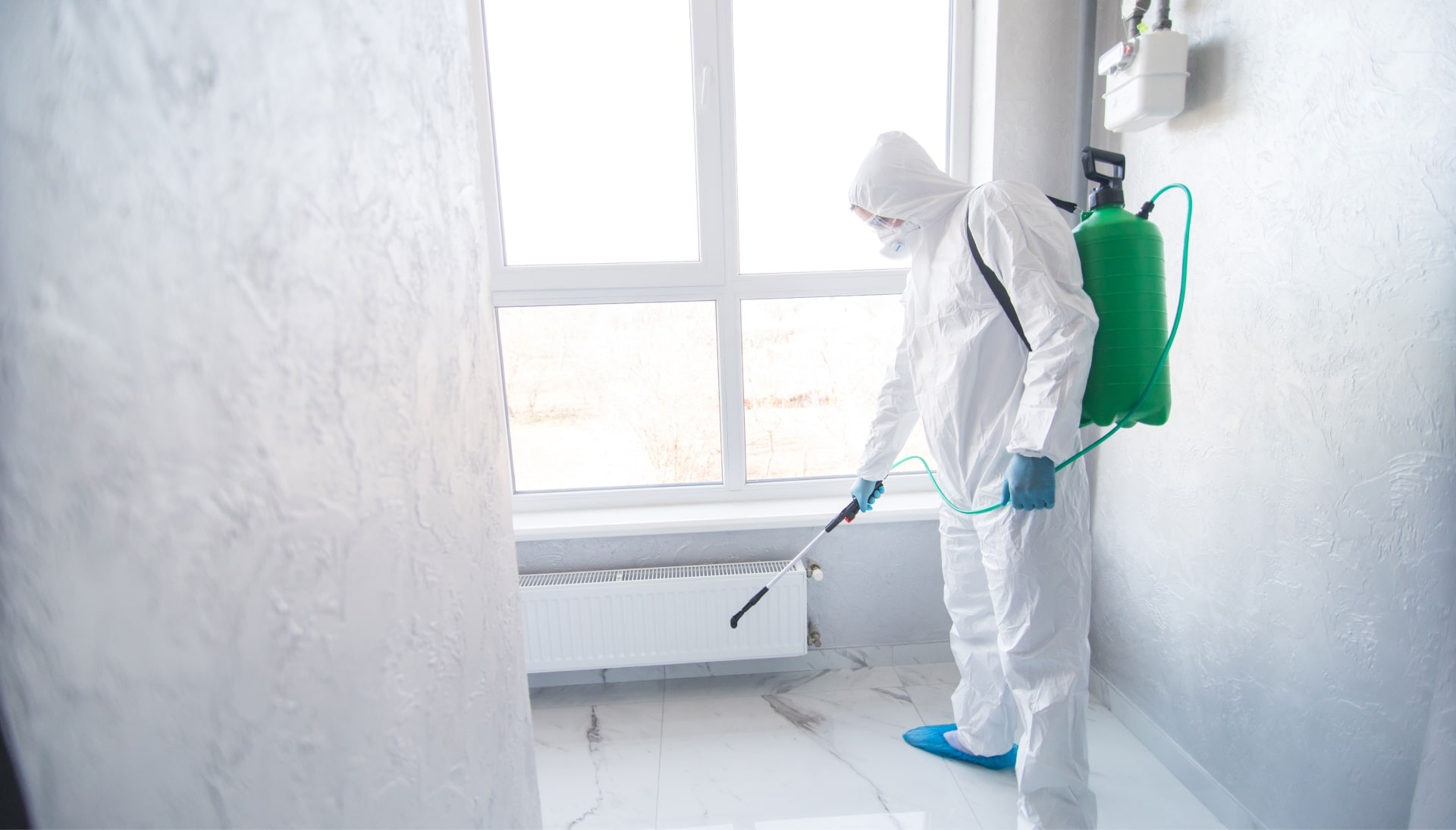 We provide the highest-quality mold inspection, testing, and removal services in the Cedar Rapids, Iowa area.
